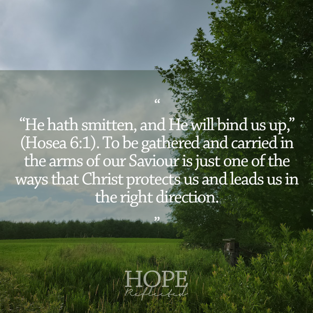 "He hath smitten, and He will bind us up," (Hosea 6:1). Read more at hopereflected.com