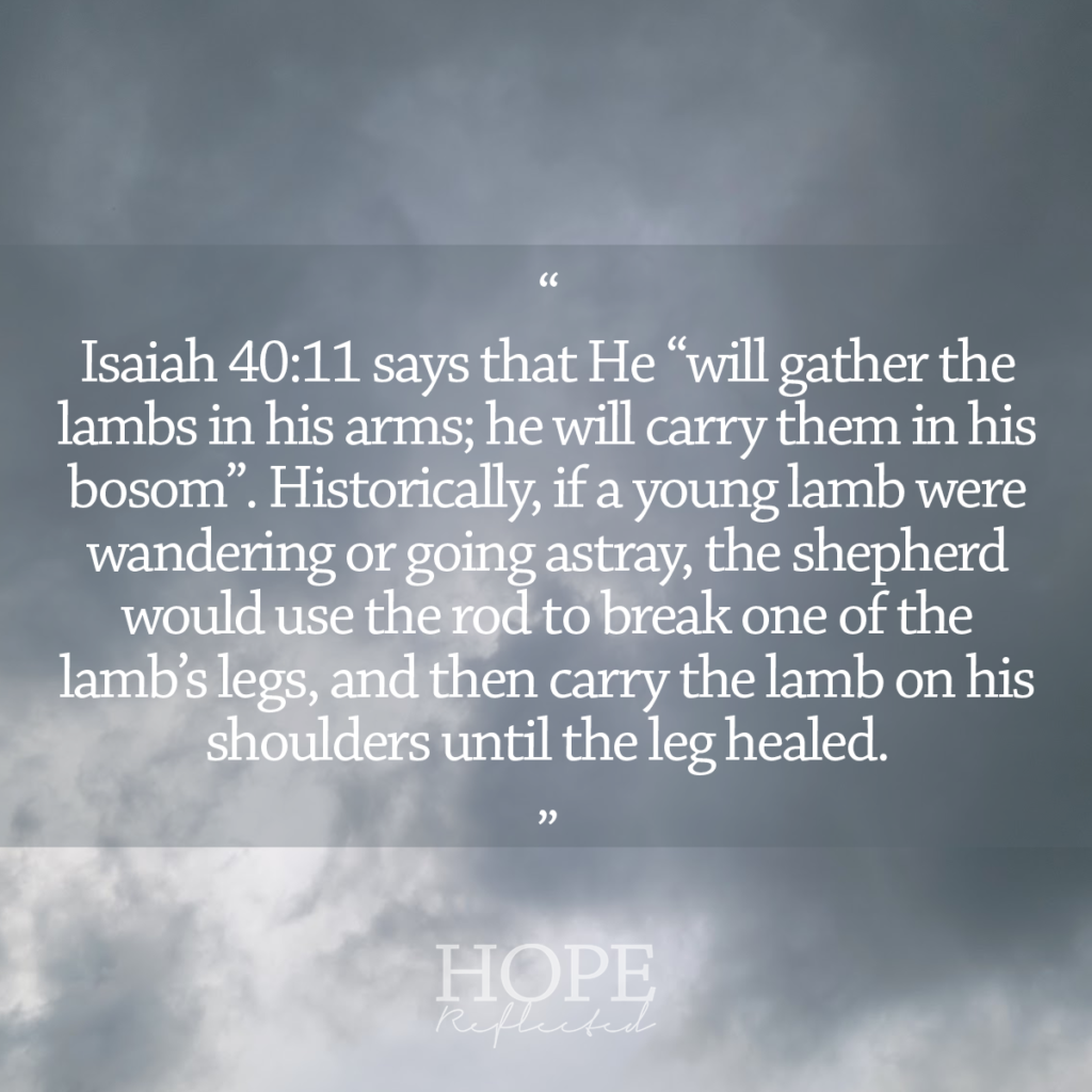 "He will gather the lambs in his arms; he will carry them in his bosom." (Isaiah 40:11) See more at hopereflected.com