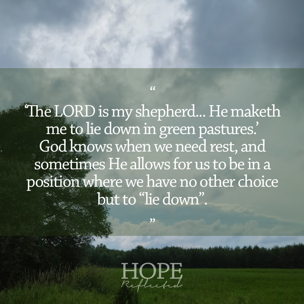 "The LORD is my shepherd...He maketh me to lie down in green pastures." Psalm 23:1,2 Read more at hopereflected.com