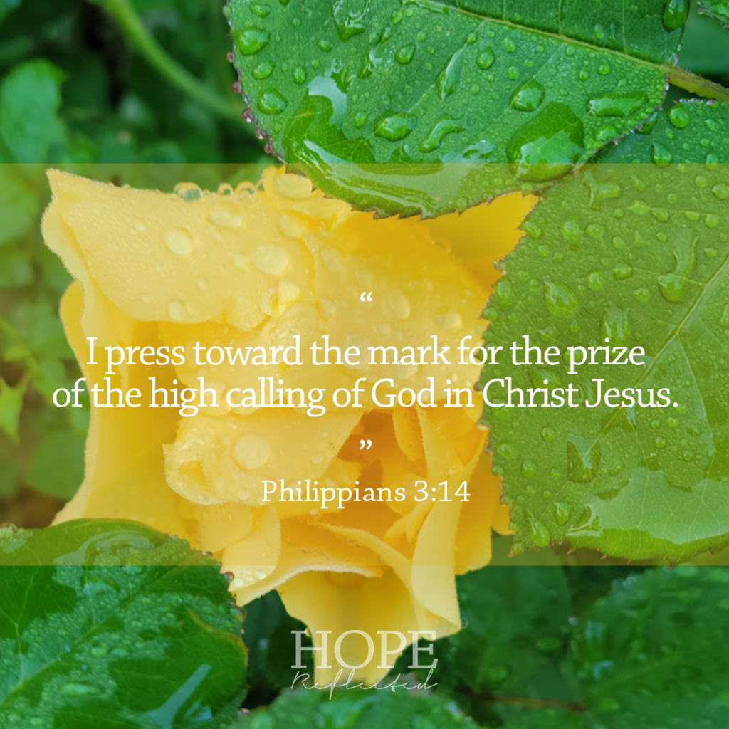 “I press toward the mark for the prize of the high calling of God in Christ Jesus,” (Philippians 3:14) | Read more at hopereflected.com