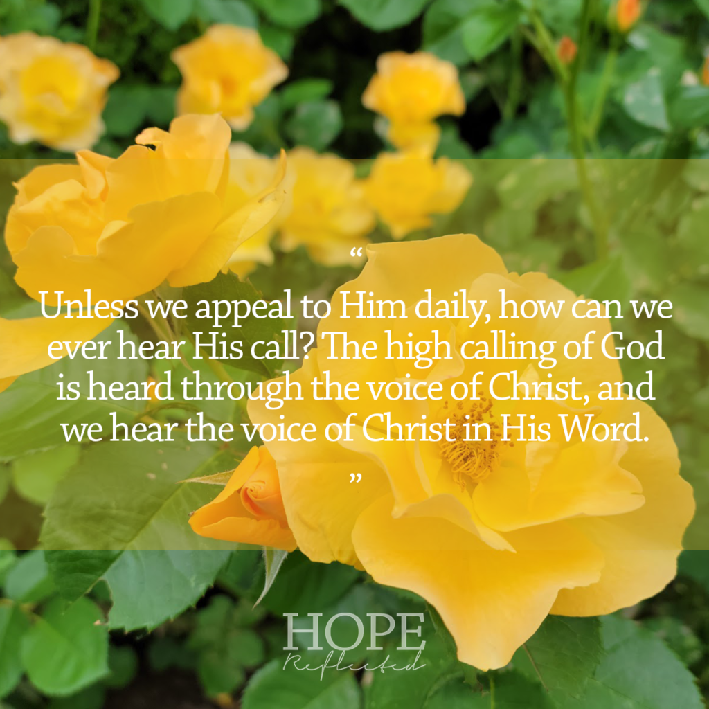 Unless we are appealing to Him daily, how can we ever hear His call? The high calling of God is heard through the voice of Christ, and we hear the voice of Christ in His Word. Read more at hopereflected.com