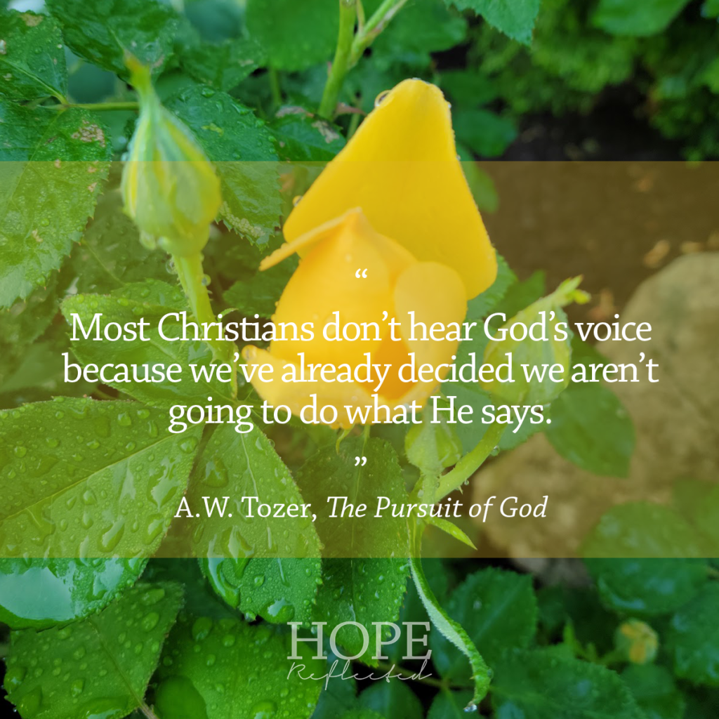 “Most Christians don’t hear God’s voice because we’ve already decided we aren’t going to do what He says.” (A.W. Tozer) | Read more at hopereflected.com