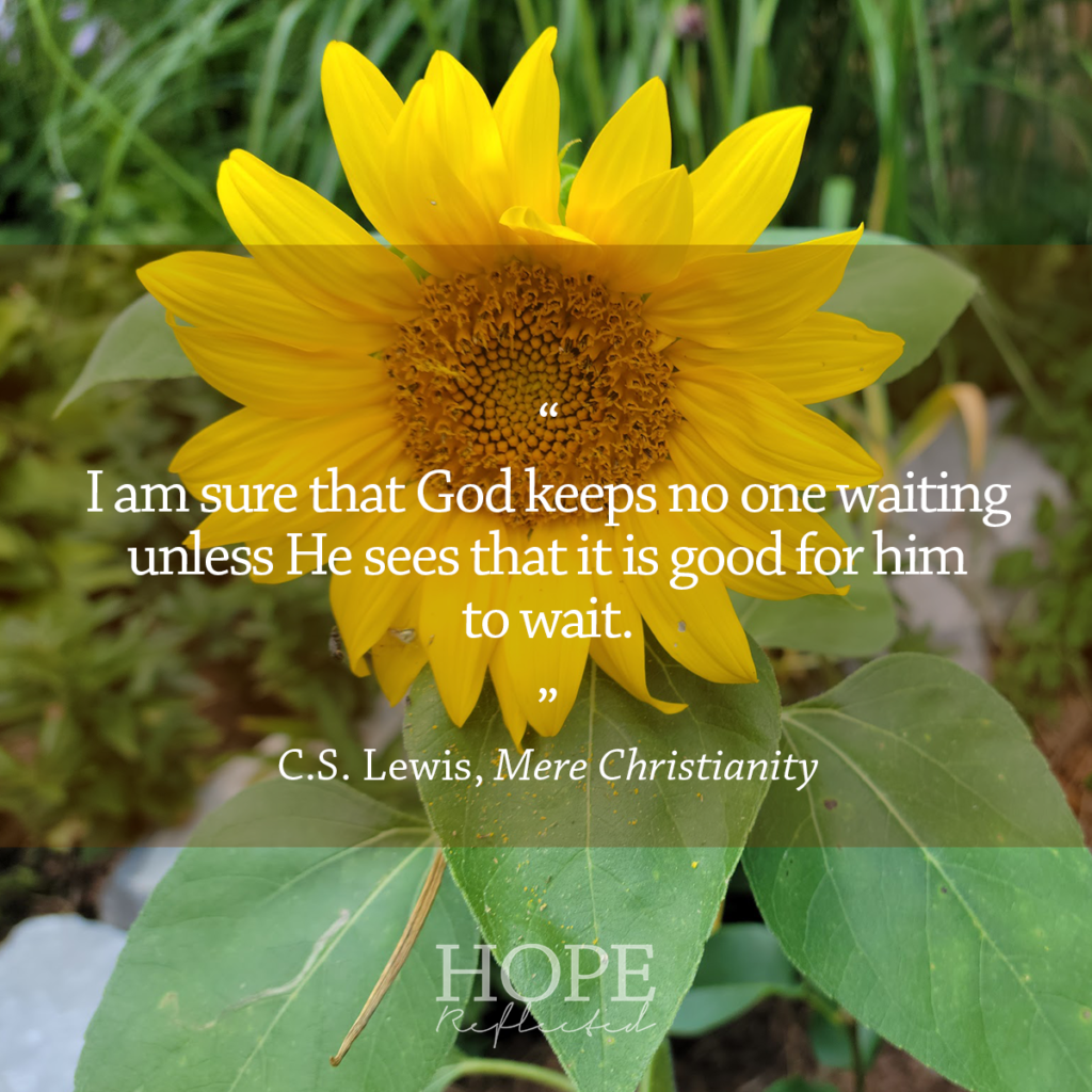 "I am sure that God keeps no one waiting unless He sees that it is good for him to wait." C.S. Lewis, Mere Christianity | Read more at hopereflected.com