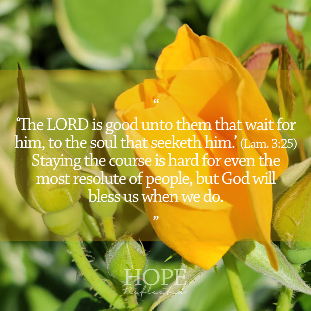 "The LORD is good unto them that wait for him, to the soul that seeketh him." (Lamentations 3:25) Read more on hopereflected.com