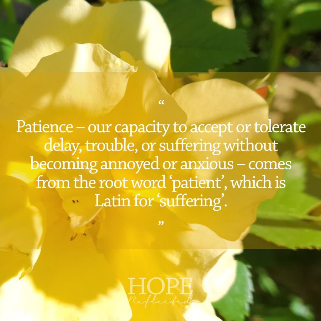 Patience - our capacity to accept or tolerate delay, trouble, or suffering without becoming annoyed or anxious - comes from the root word 'patient', which is Latin for 'suffering'. Read more on hopereflected.com