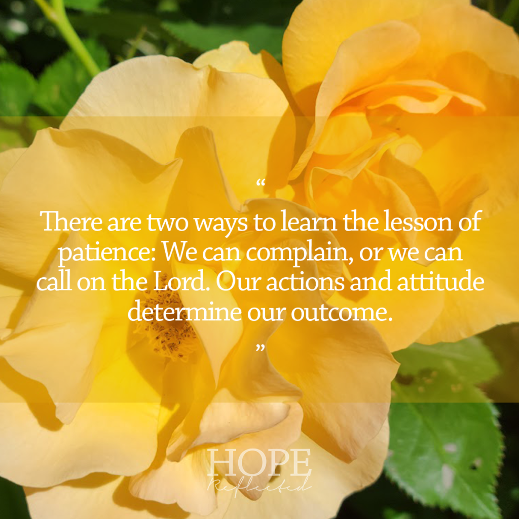 There are two ways to learn the lesson of patience: We can complain, or we can call on the Lord. Our actions and attitude determine our outcome. Read more on hopereflected.com