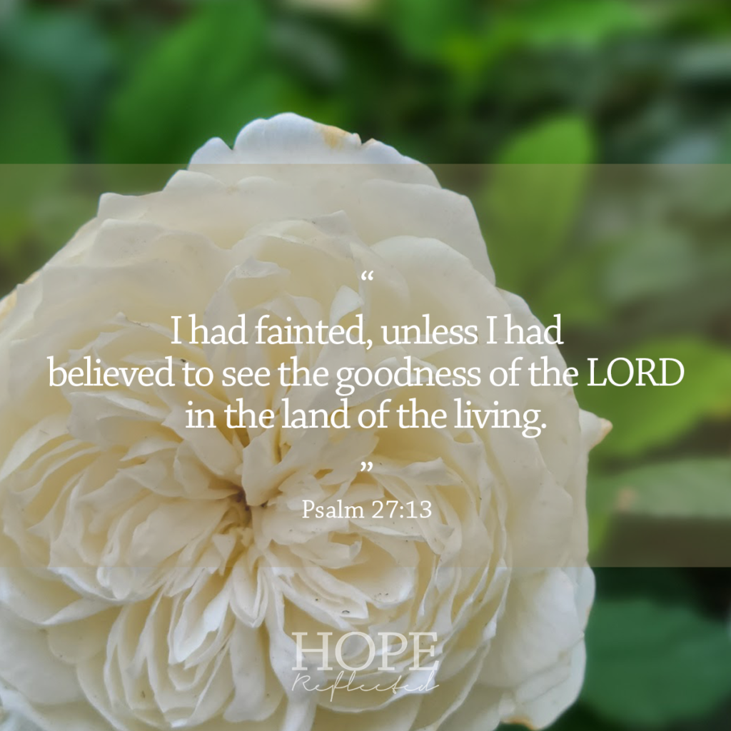 "I had fainted, unless I had believed to see the goodness of the LORD in the land of living." (Psalm 27:13) Read more on hopereflected.com