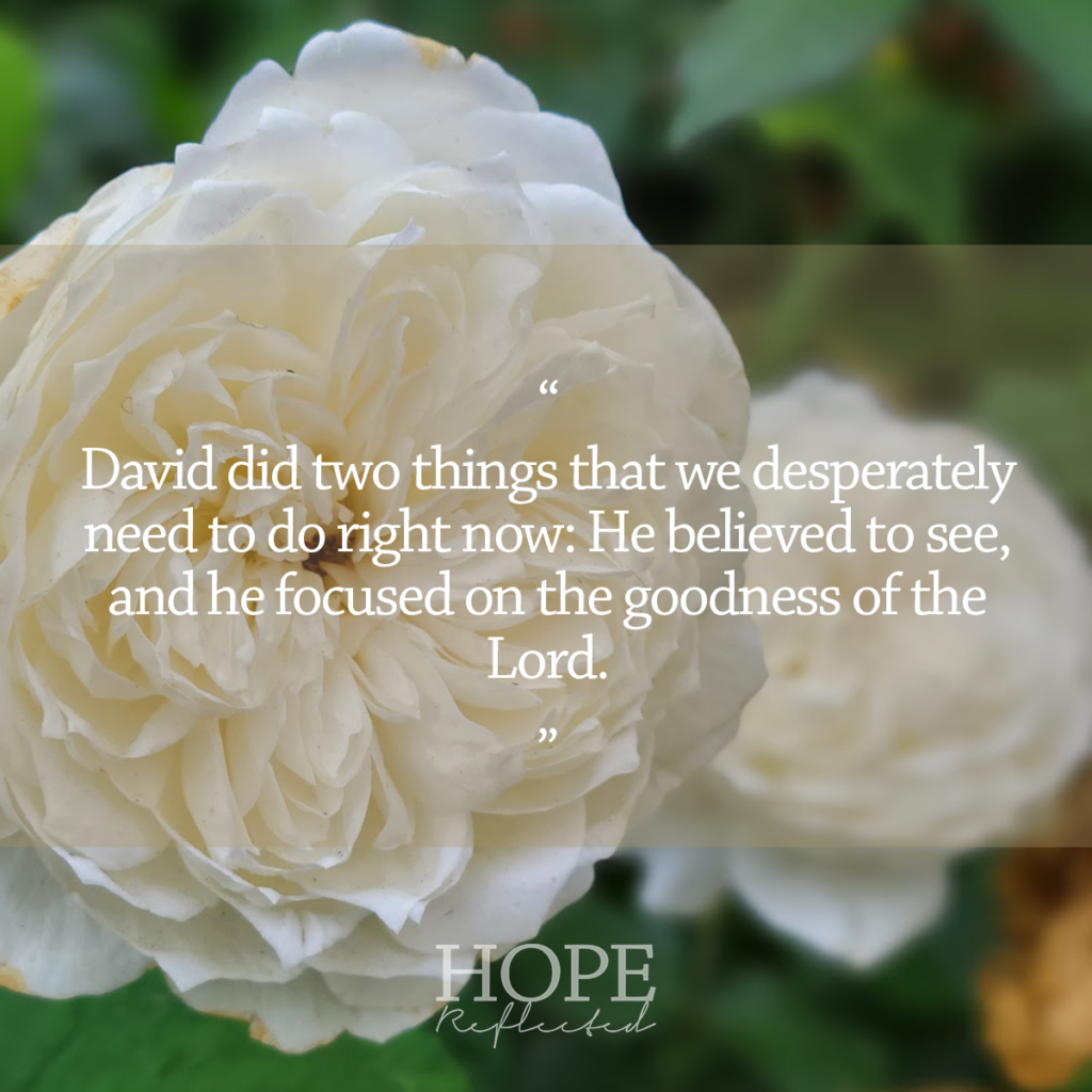 David did two things that we so desperately need to do right now: He believed to see, and he focused on the goodness of the Lord. Read more on hopereflected.com