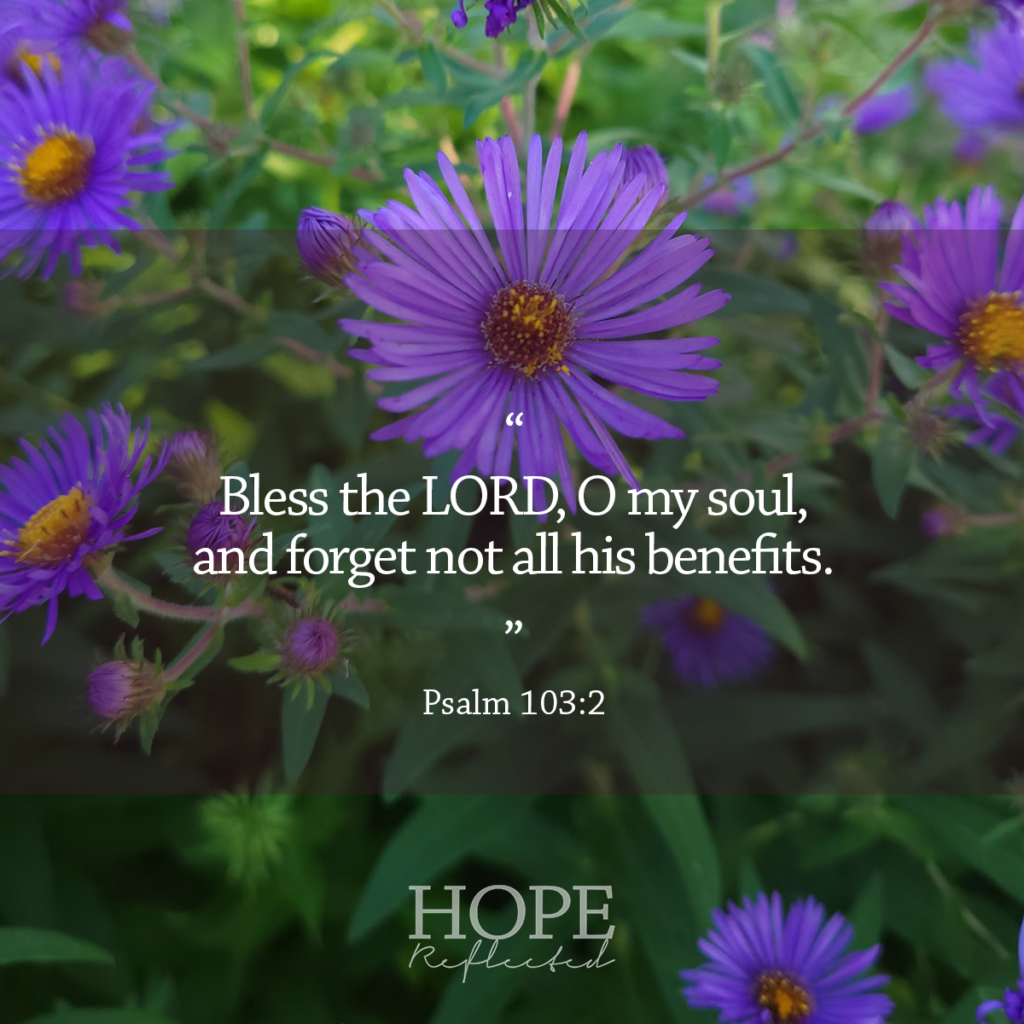 "Bless the LORD, O my soul, and forget not all his benefits." (Psalm 103:2) Read more about the grateful retrospect on hopereflected.com