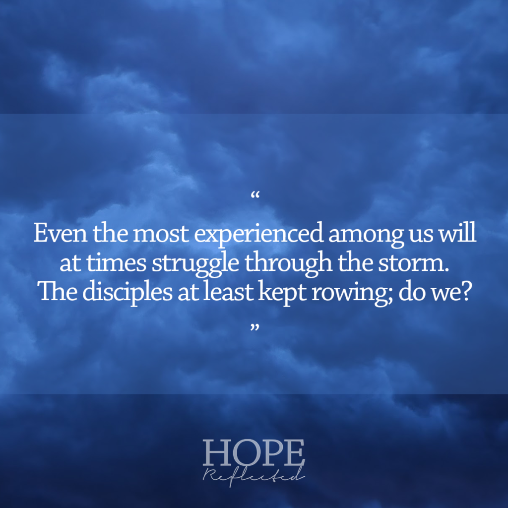 Even the most experienced among us will at times struggle through the storm. The disciples at least kept rowing; do we? | Read more at hopereflected.com