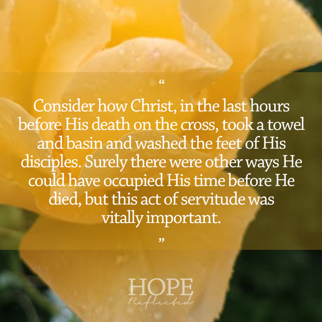 Read more of To be servants on hopereflected.com