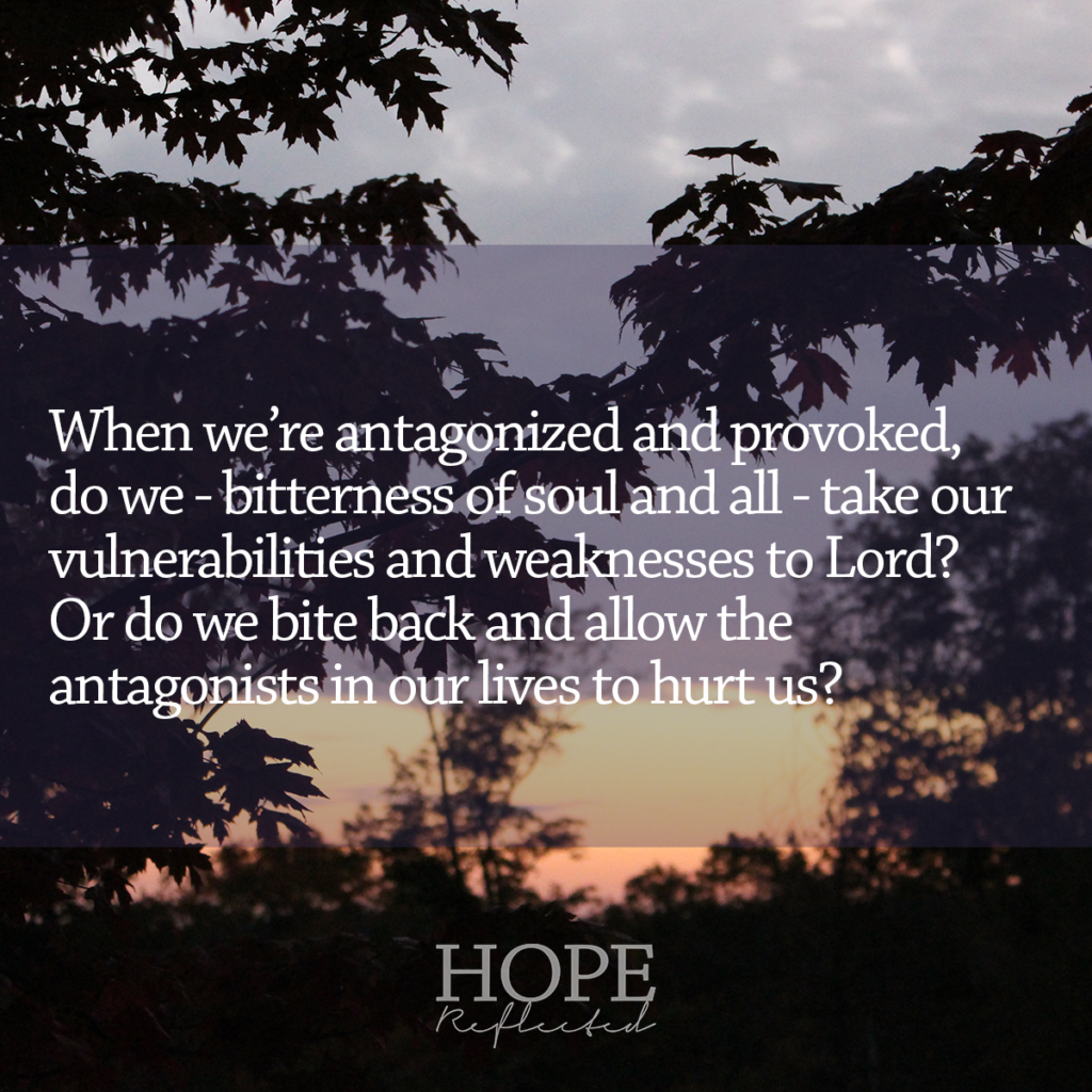 Learn more about a Biblical response to antagonism on hopereflected.com