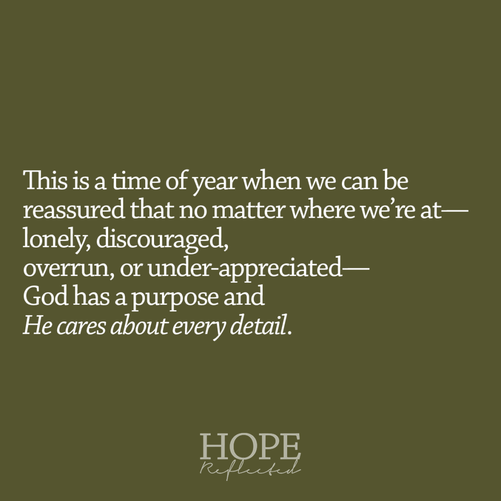 This is a time of year when we can be reassured that no matter where we're at - lonely, discouraged, overrun, or under-appreciated - God has a purpose and He cares about every detail. Read more about what Advent means on hopereflected.com