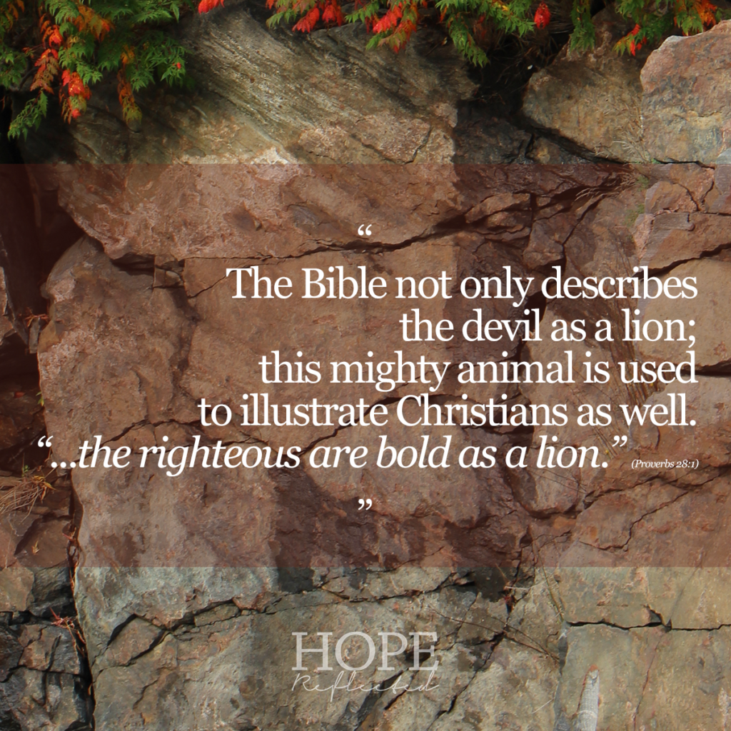 "The Bible not only describes the devil as a lion; this mighty animal is used to illustrate Christians as well. "...the righteous are bold as a lion." (Proverbs 28:1) Read more on hopereflected.com