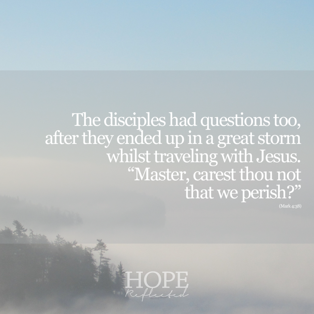 The disciples had questions too, after they ended up in a great storm whilst traveling with Jesus. "Master, carest thou not that we perish?" (Mark 4:38). Read more of surviving the storm on hopereflected.com