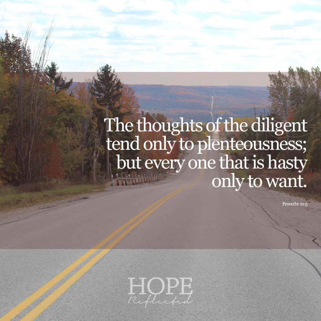 "The thoughts of the diligent tend only to plenteousness; but every one that is hasty only to want." (Proverbs 21:5) Read more on hoepreflected.com