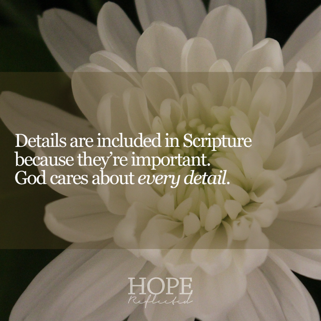 Details are included in Scripture because they are important. God cares about every detail. Read more on hopereflected.com