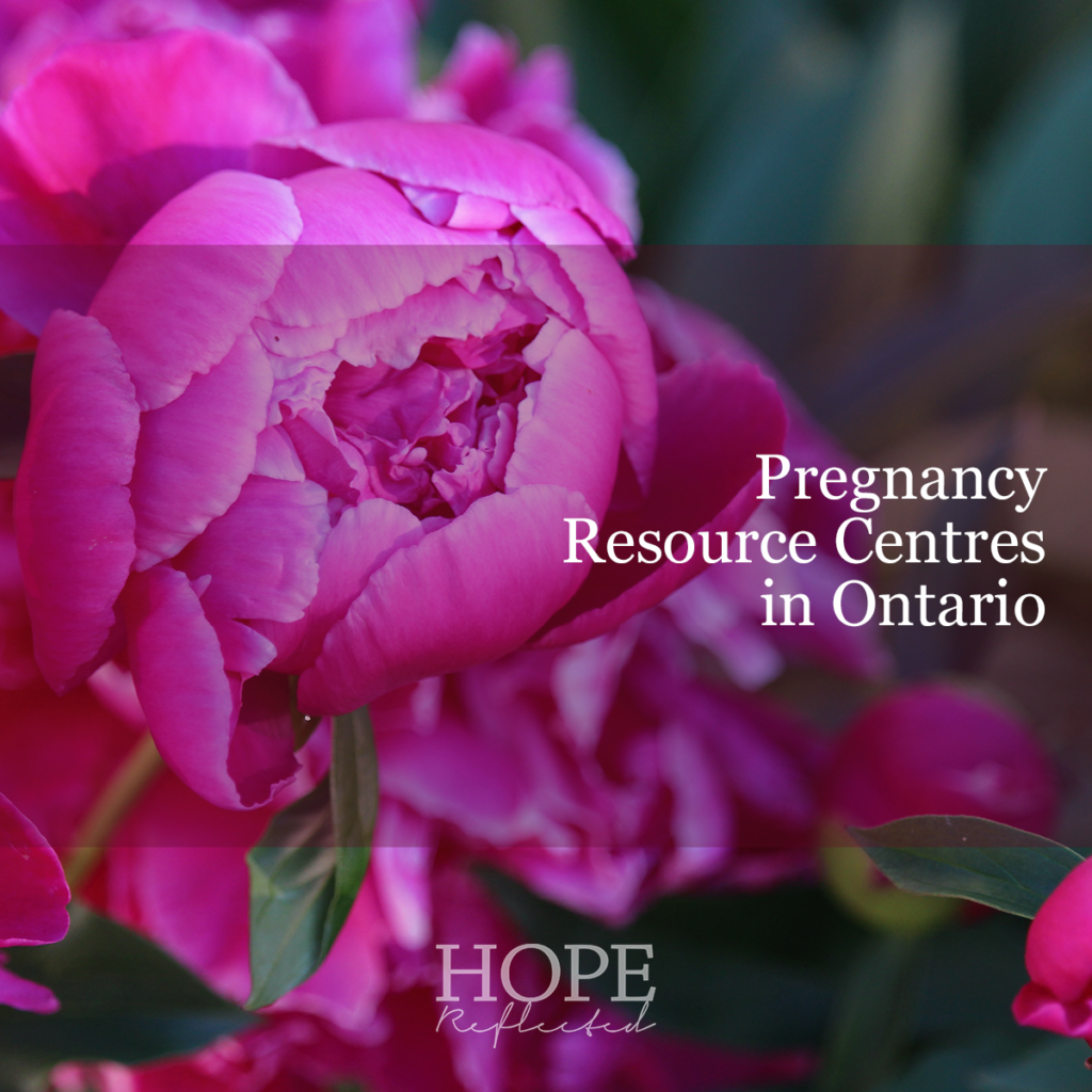 Pregnancy Resource Centres in Ontario - find a center near you in Ontario, Canada and learn how you can help.