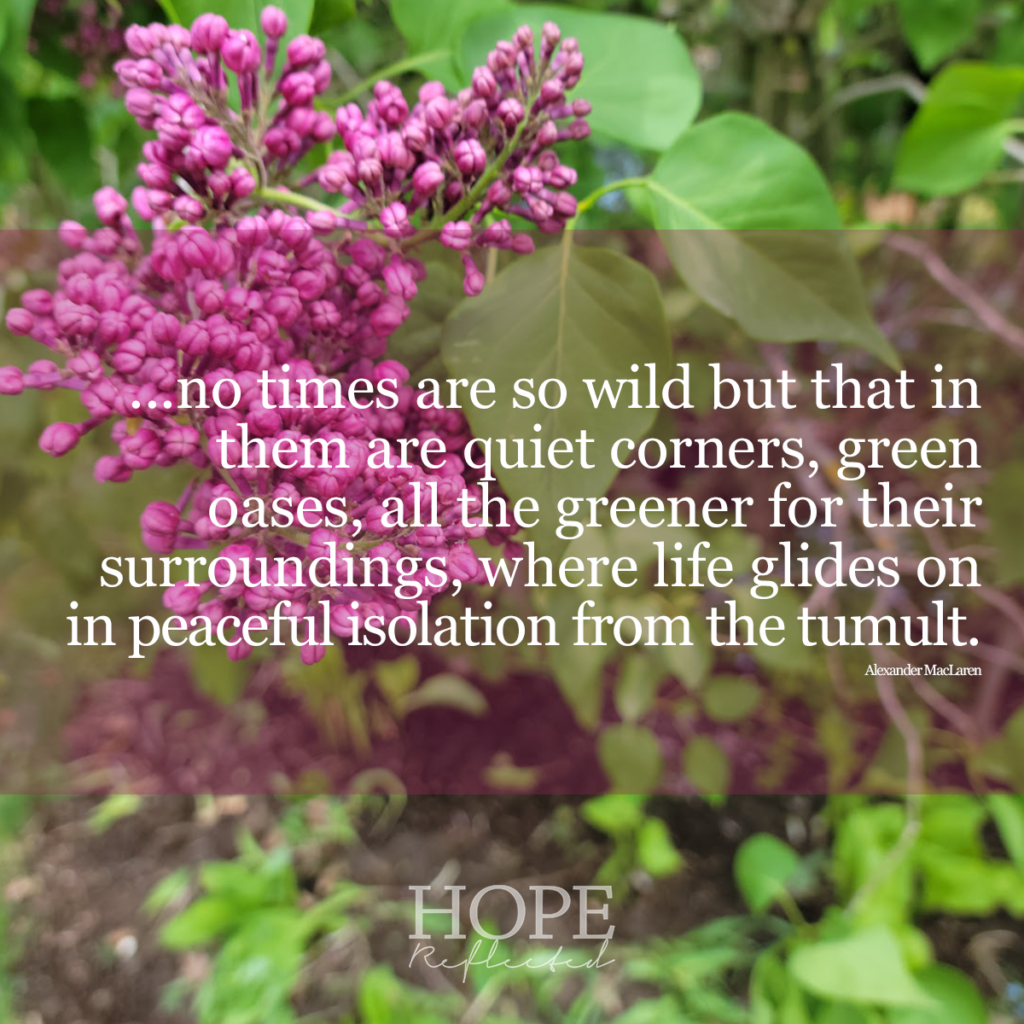 ...no times are so wild but that in them are quiet corners, green oases, all the greener for their surroundings, where life glides on in peaceful isolation from the tumult. (Alexander MacLaren) | Read more of A Glimpse of Sunshine on hopereflected.com