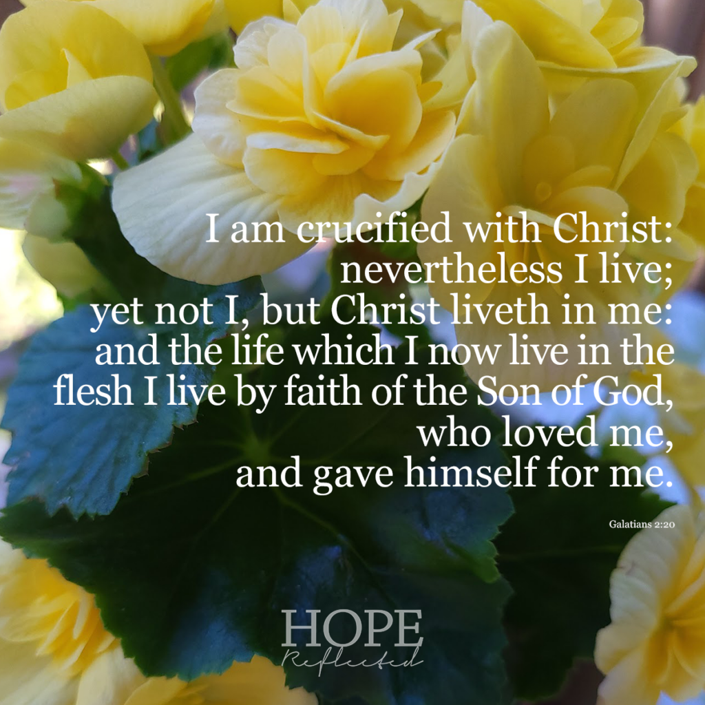 "I am crucified with Christ: nevertheless I live; yet not I, but Christ liveth in me: and the life which I now live in the flesh I live by faith of the Son of God, who loved me, and gave himself for me." Galatians 2:20 | Read more of "A work of the will" on hopereflected.com
