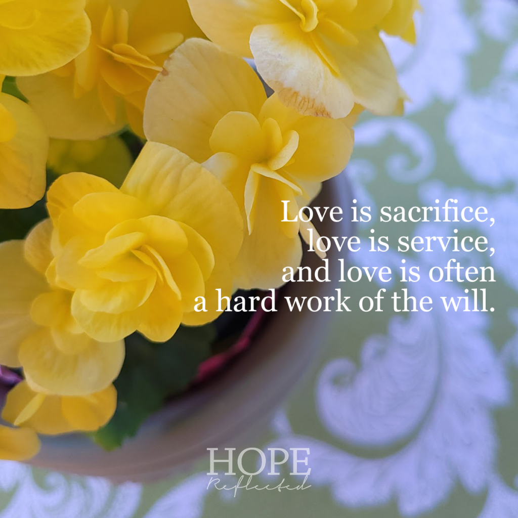 Love is sacrifice, love is service, and love is often a hard work of the will. Read more of "A work of the will" on hopereflected.com