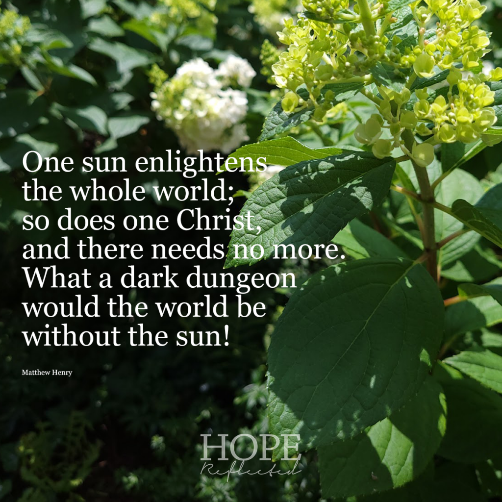 One sun enlightens the whole world; so does one Christ, and there needs no more. What a dark dungeon would the world be without the sun! (Matthew Henry) Read more on hopereflected.com