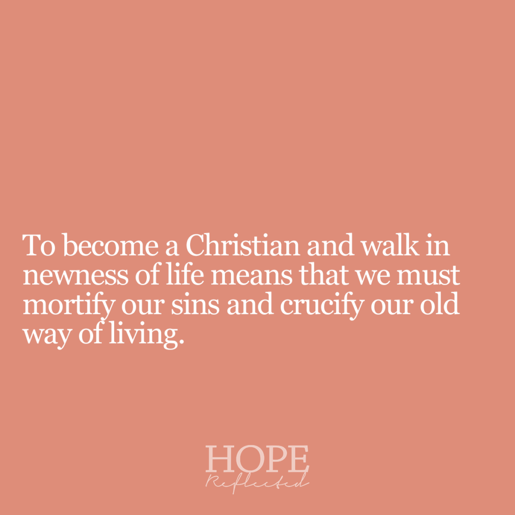 To become a Christian and walk in newness of life means that we must mortify our sins and crucify our old way of living. | Read more about how God makes all things new on hopereflected.com