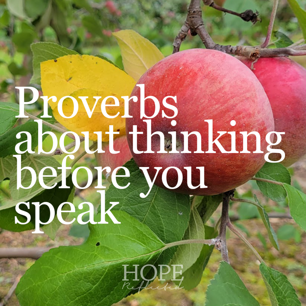 Verses from Proverbs about thinking before you speak. Read more on hopereflected.com