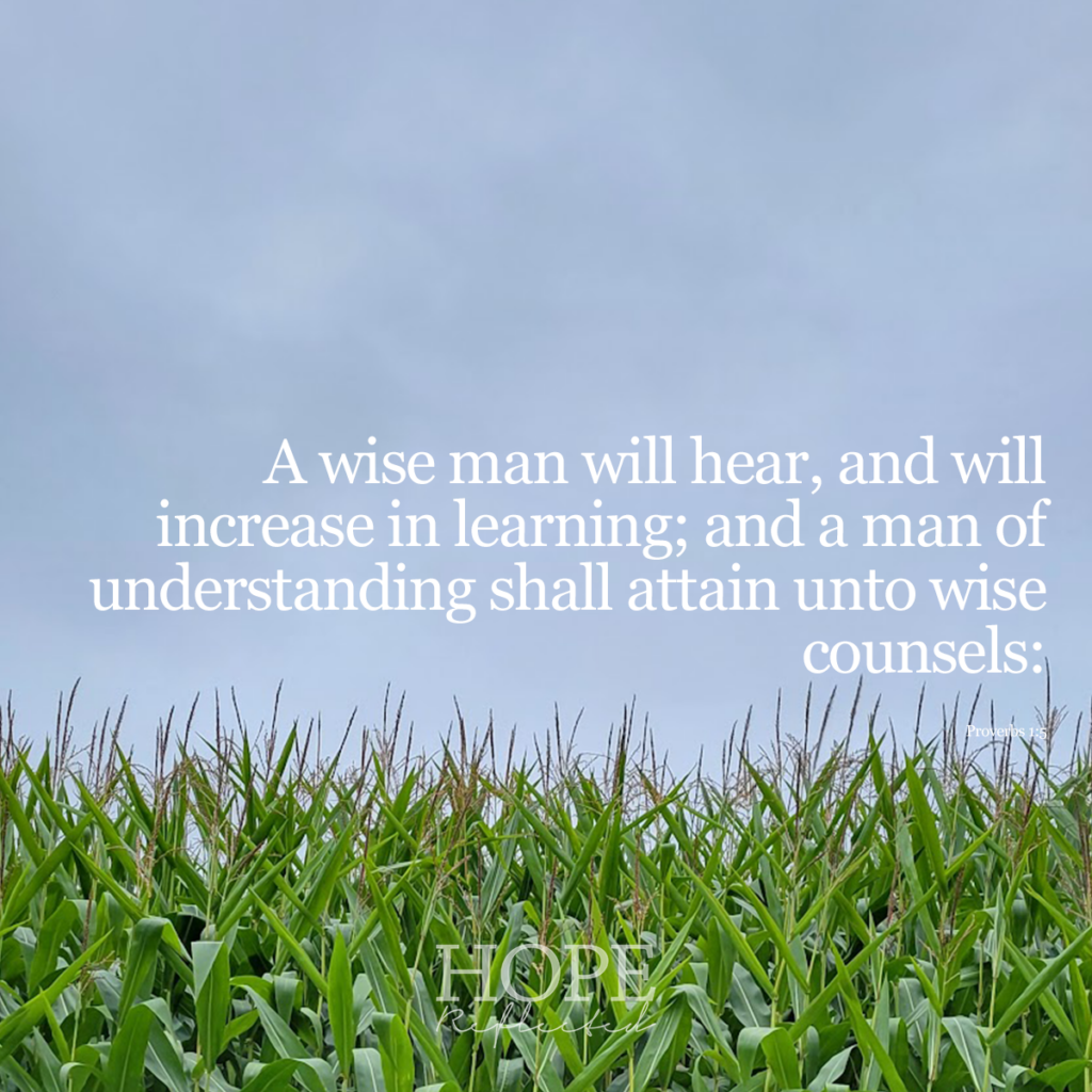 "A wise man will hear, and will increase in learning; and a man of understanding shall attain unto wise counsels:" (Proverbs 1:5) | Read more about the life of Hezekiah on hopereflected.com