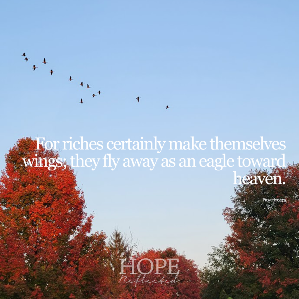 "For riches certainly make themselves wings; they fly away as an eagle toward heaven." (Proverbs 23:5) | Read more on hopereflected.com
