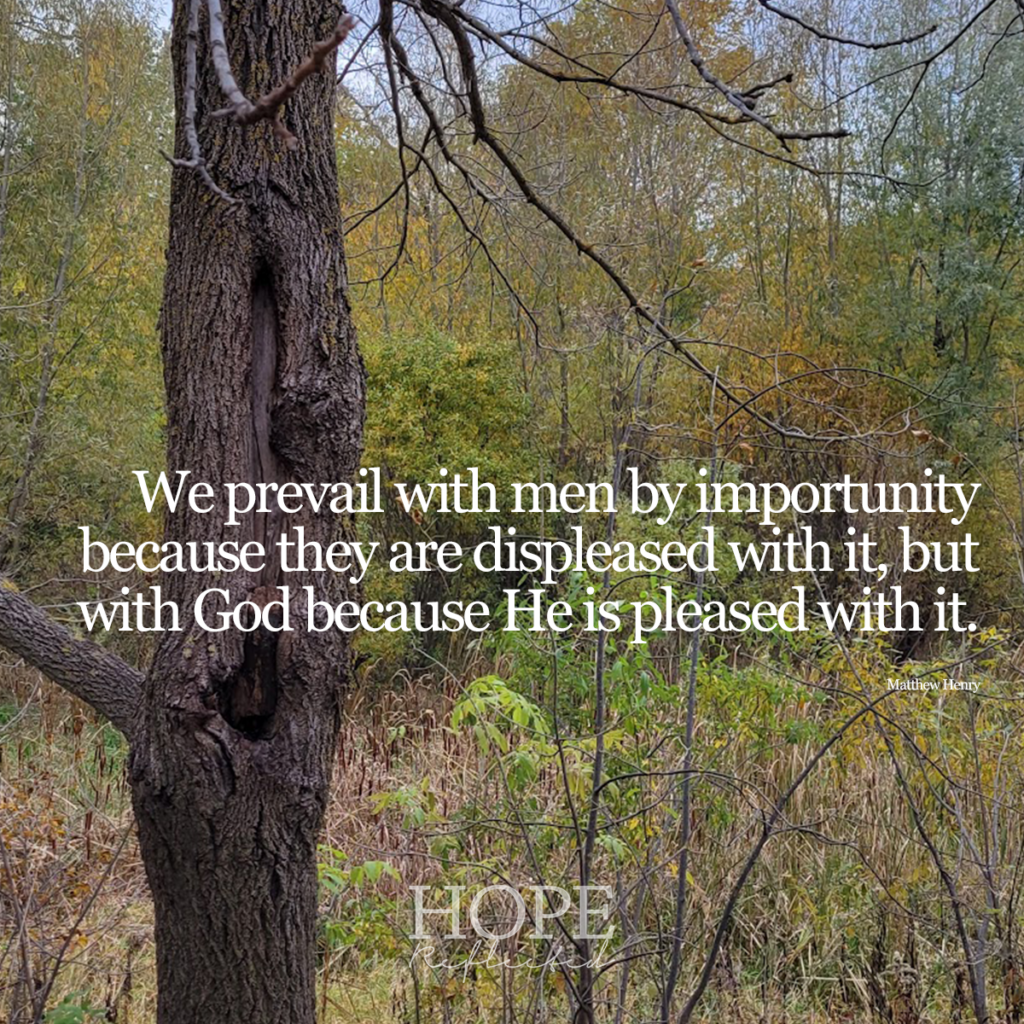We prevail with men by importunity because they are displeased with it, but with God because He is pleased with it. (Matthew Henry) | Read more about prayer on hopereflected.com
