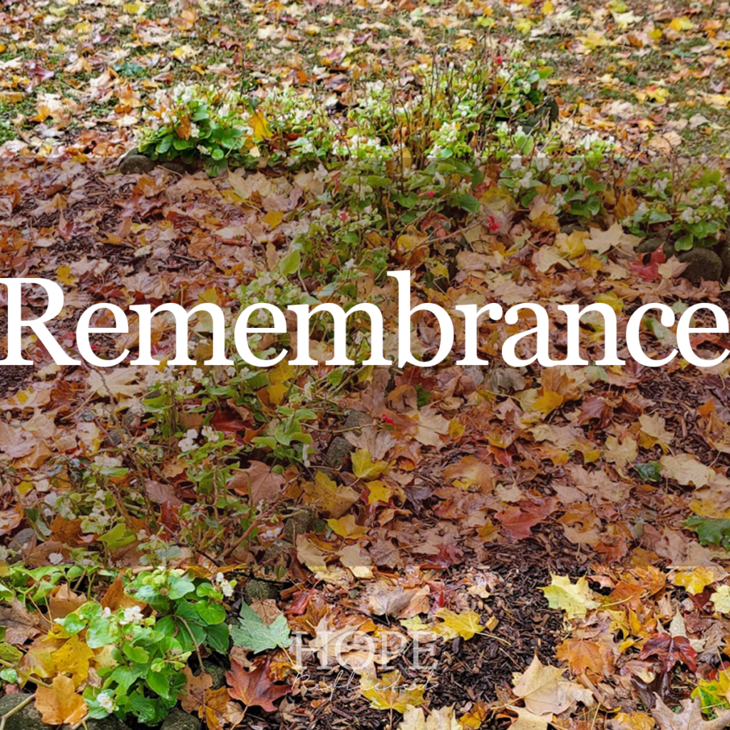 Remembrance is important. Read more about remembrance in the Bible and Remembrance Day on hopereflected.com
