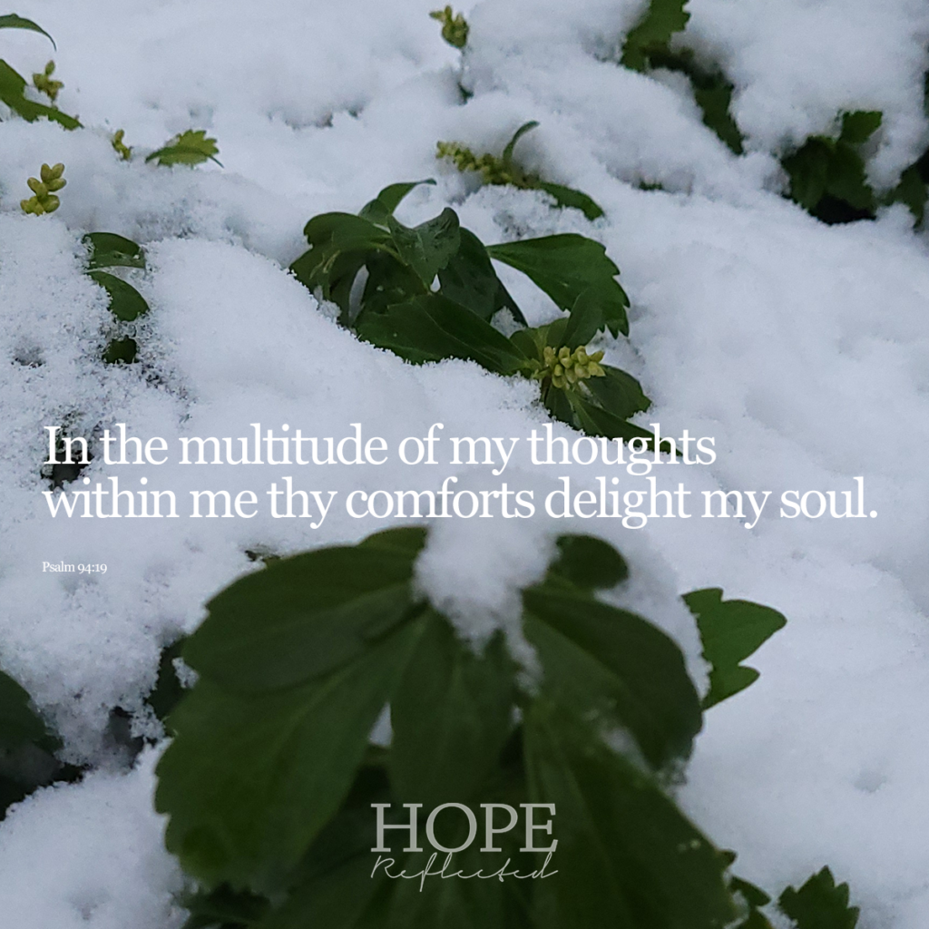 In the multitude of my thoughts within me thy comforts delight my soul. (Psalm 94:19) | Read more about it on hopereflected.com