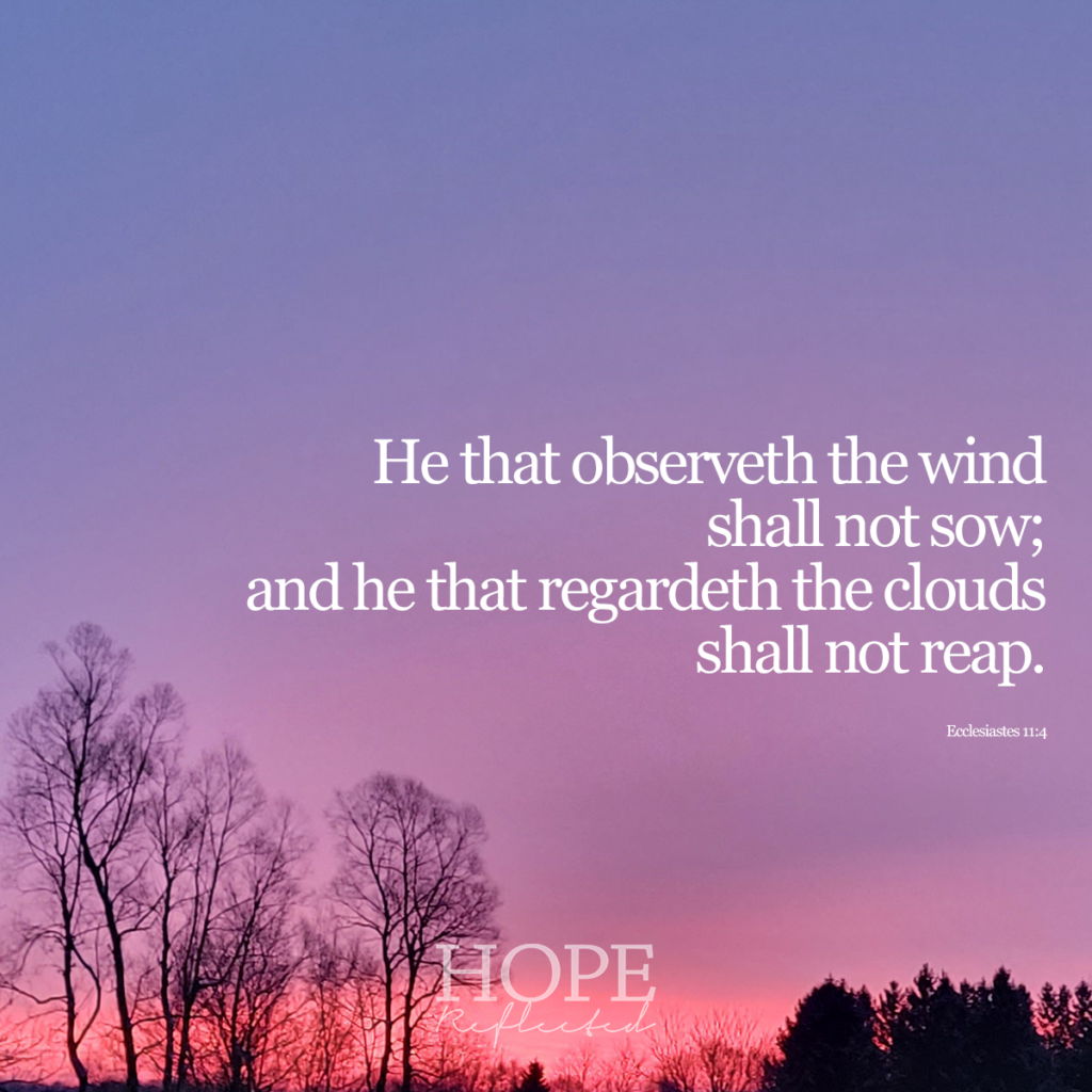He that observeth the wind shall now sow; and he that regardeth the clouds shall not reap. (Ecclesiastes 11:4) | Read more about not growing weary in well-doing on hopereflected.com