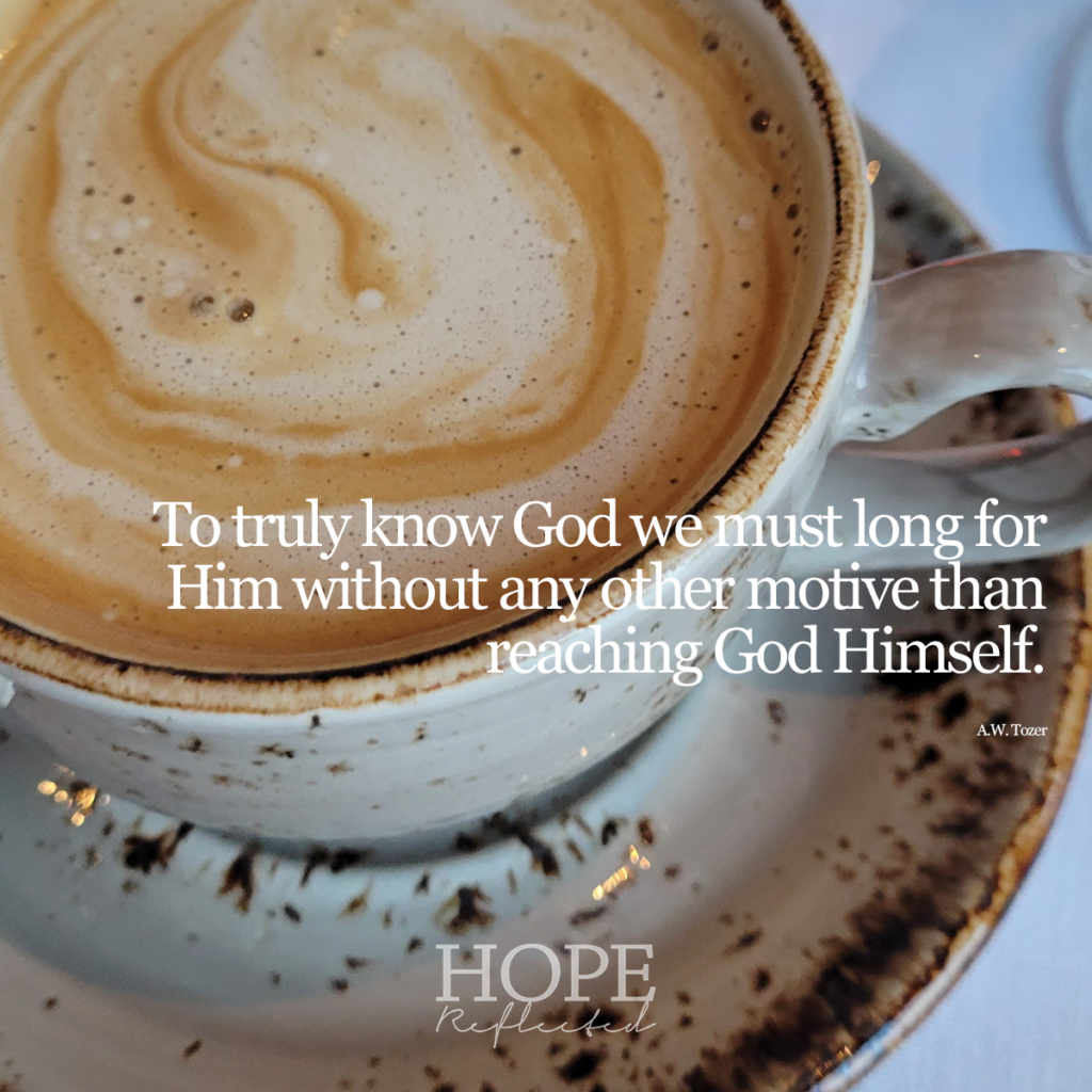 To truly know God we must long for Him without any other motive than reaching God Himself. (A.W. Tozer) | Read more about seeking God on HopeReflected.com