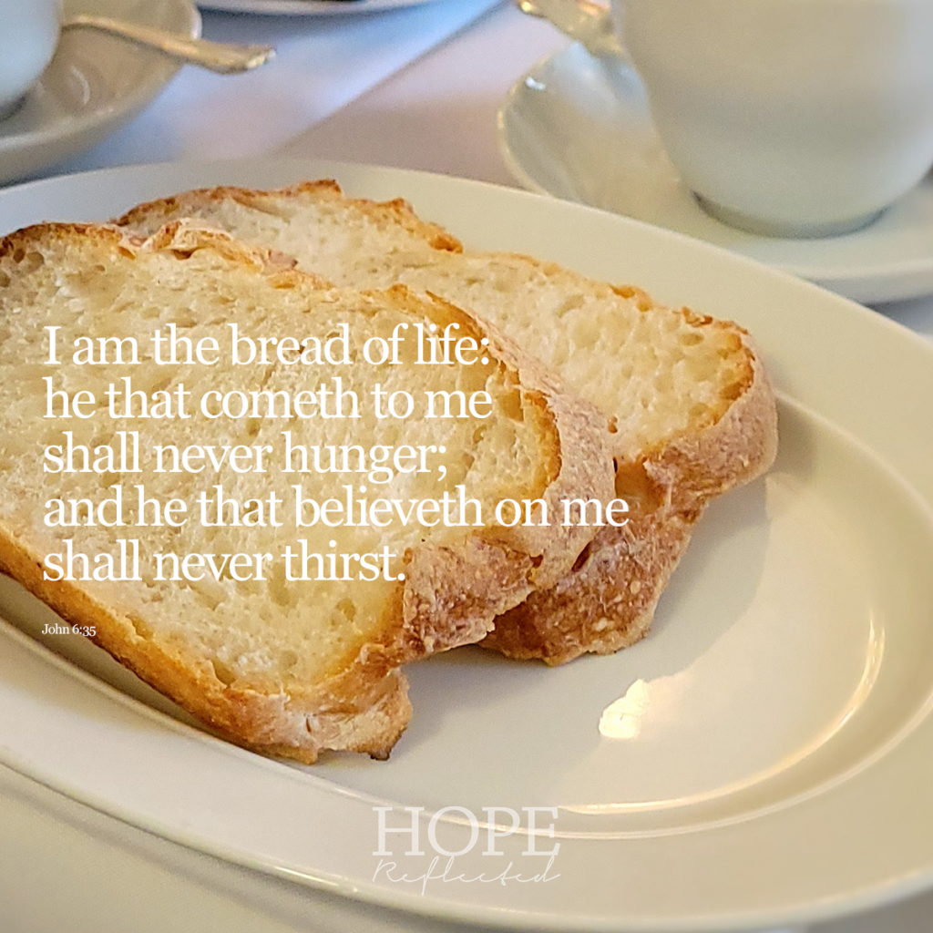 "I am the bread of life: he that cometh to me shall never hunger; and he that believeth on me shall never thirst." (John 6:35) | read more on hopereflected.com